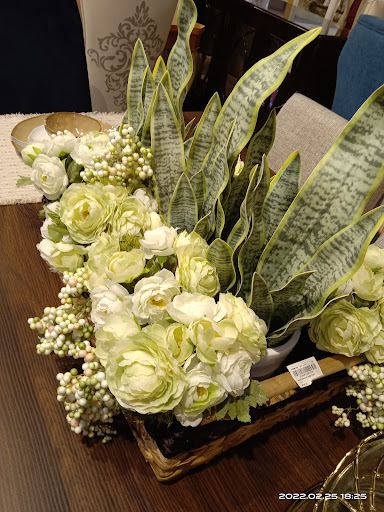 HAARISH MOHAMMED HAKEEM