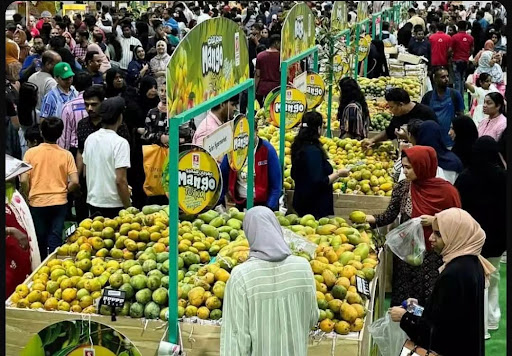 THE WANDERING COACH.