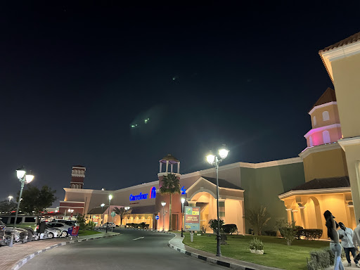 Andreea Daniela Dinulescu